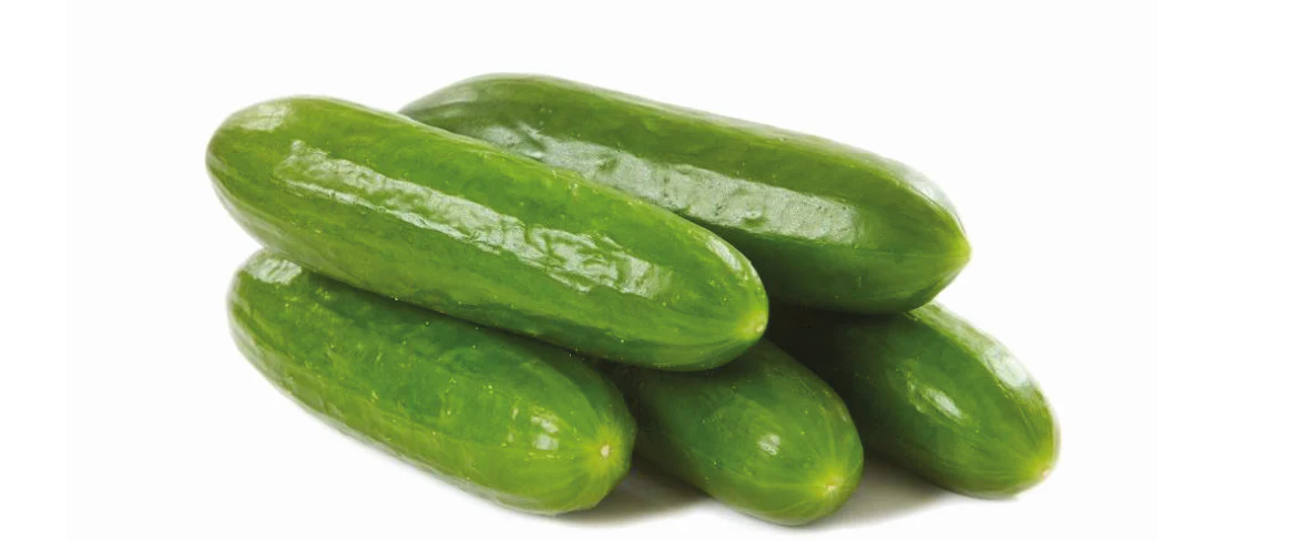 Snack-Gurke: Der gesunde Genuss