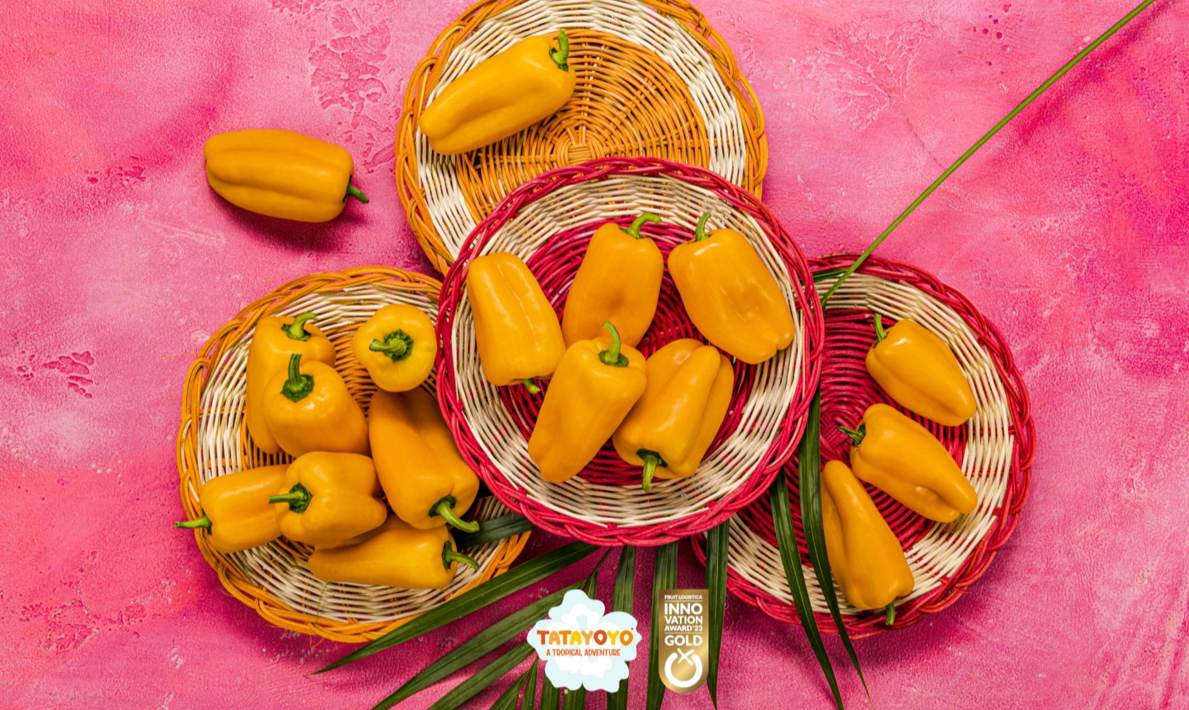 Poké Bowl mit Lachs, Mango und Paprika TATAYOYO®