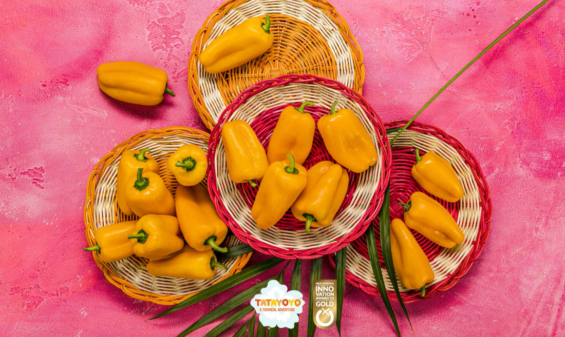 Poké Bowl mit Lachs, Mango und Paprika TATAYOYO®