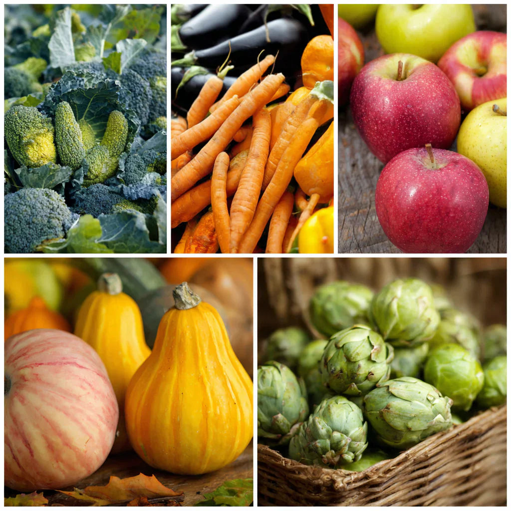 Herbstliches Obst & Gemüse im Oktober – Saisonkalender & Tipps