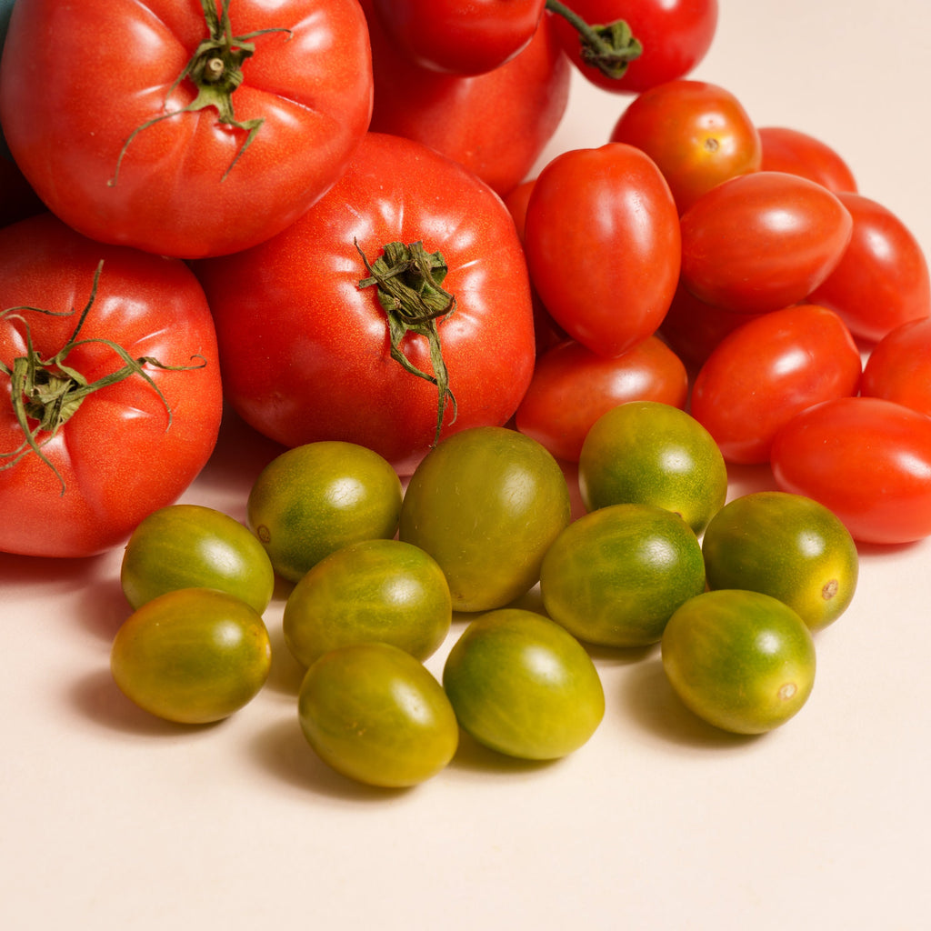 DIE NEUE TOMATEN-BOX