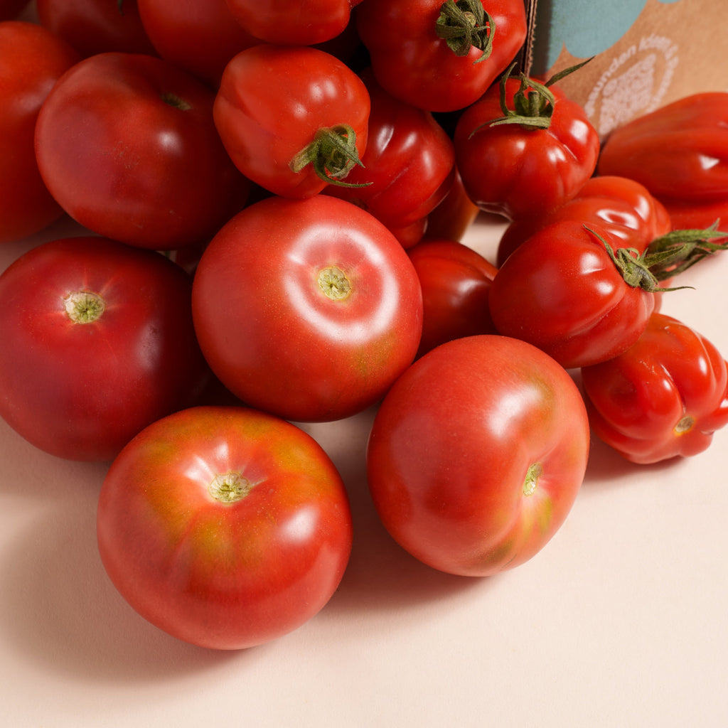 DIE NEUE TOMATEN-BOX