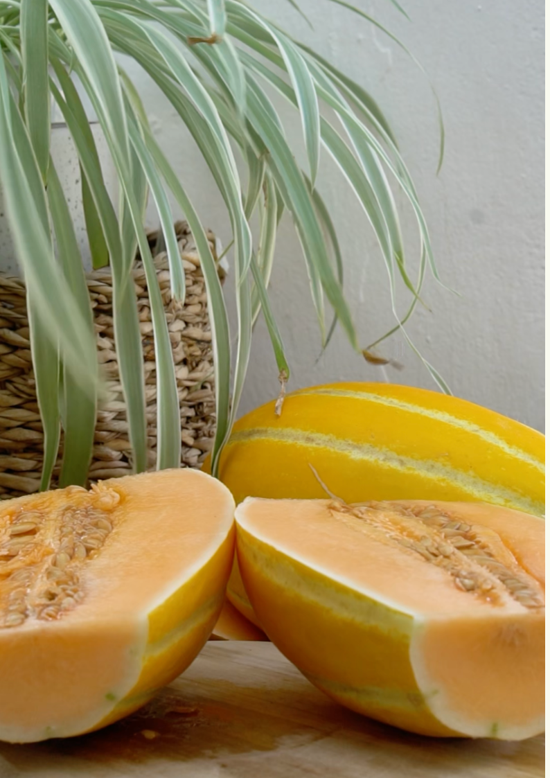 Rugby-Melone Box