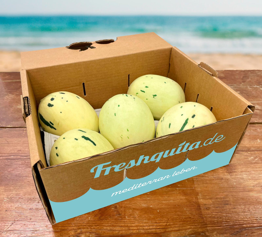 LITTLE PLANET MELONEN