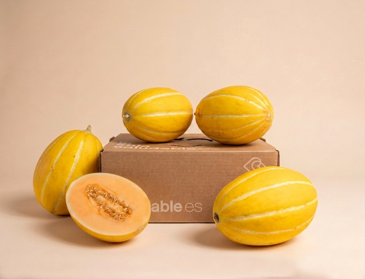 Rugby-Melone Box