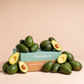 Die Bio-Avocado-Box