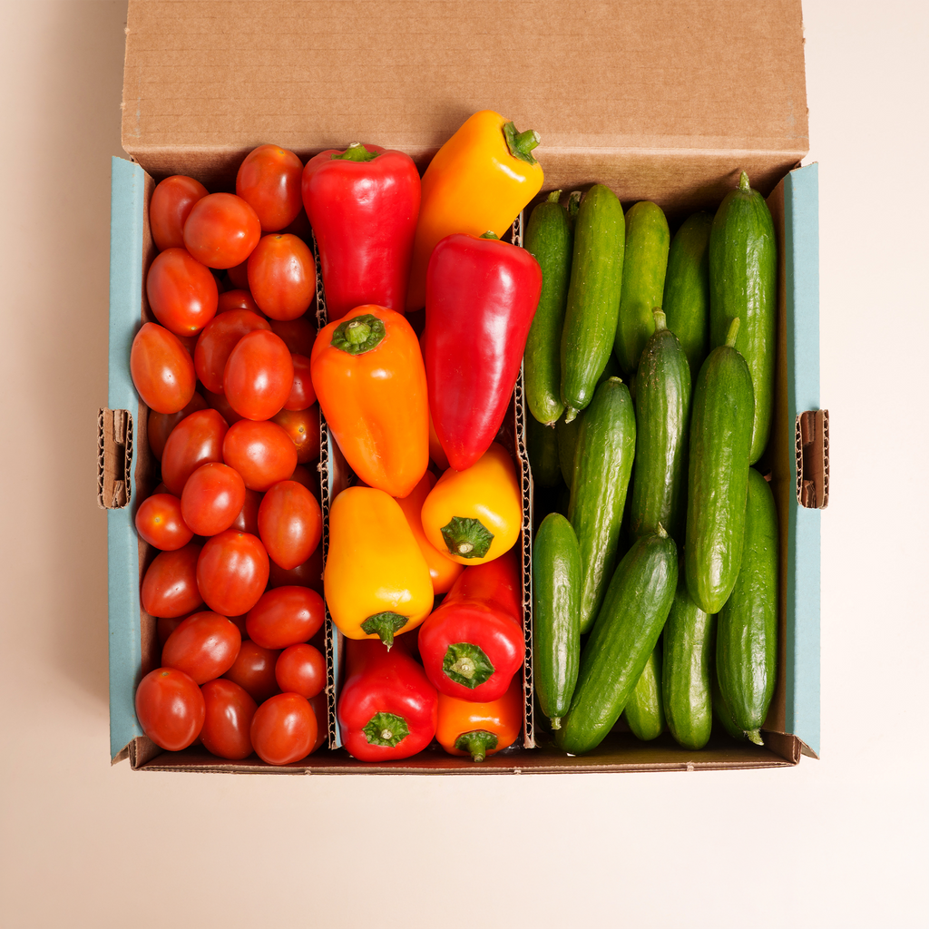 DIE SNACK BOX