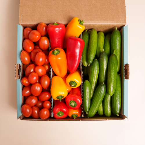 DIE SNACK BOX