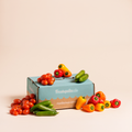 DIE SNACK BOX