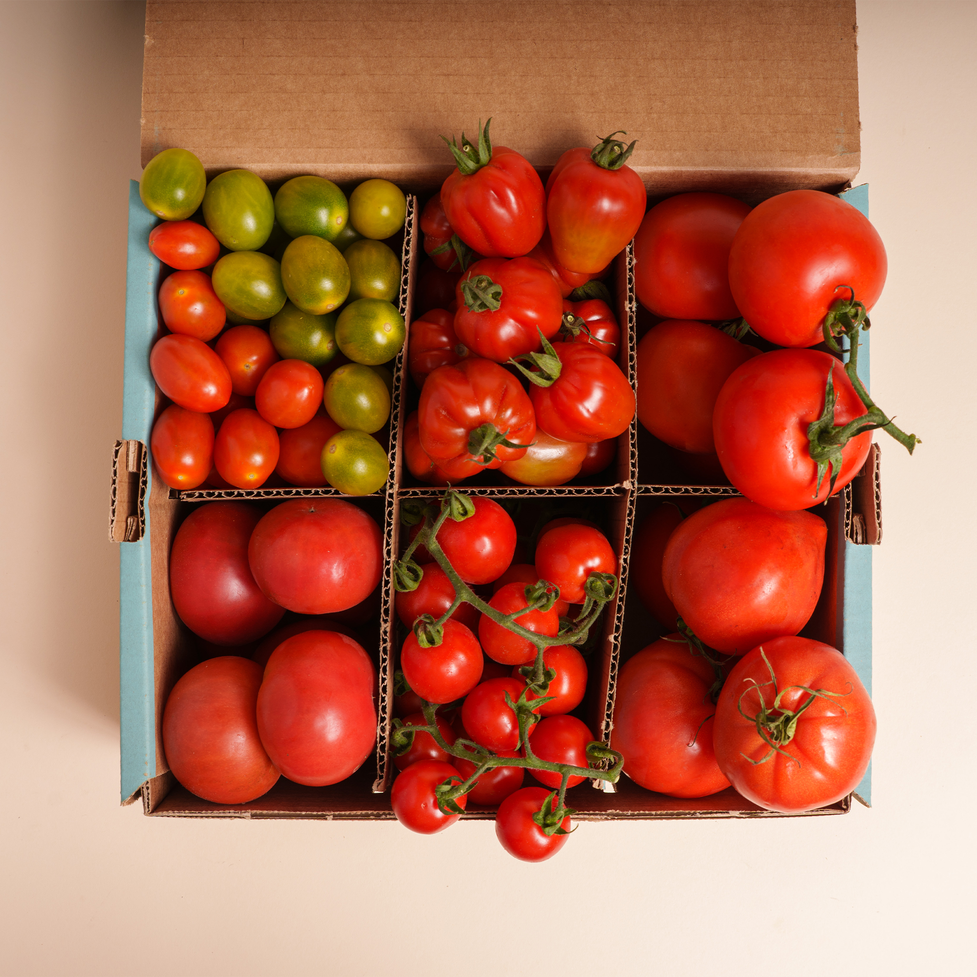 DIE NEUE TOMATEN-BOX